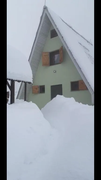 Golija Vikendica Česta Vrela，位于Raška的酒店