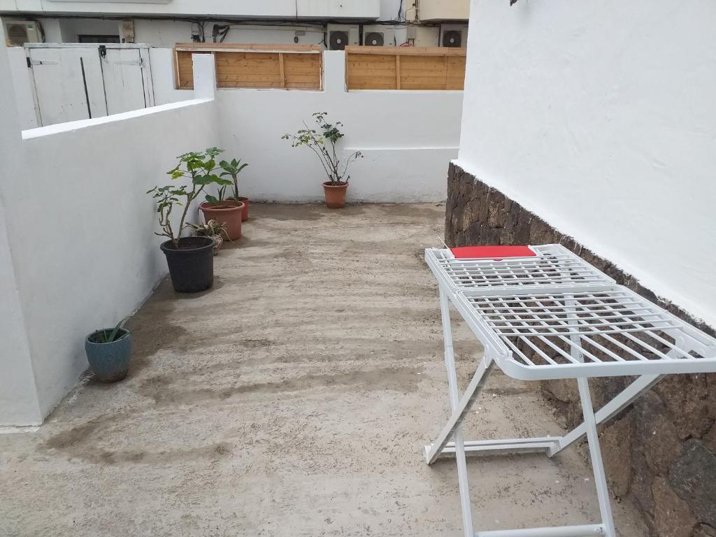 CASA PARAISO - 5