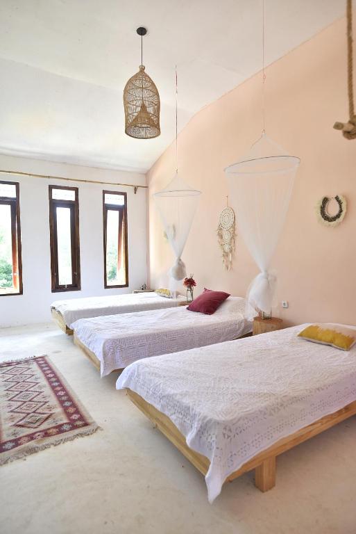 Lambo Homestay photo