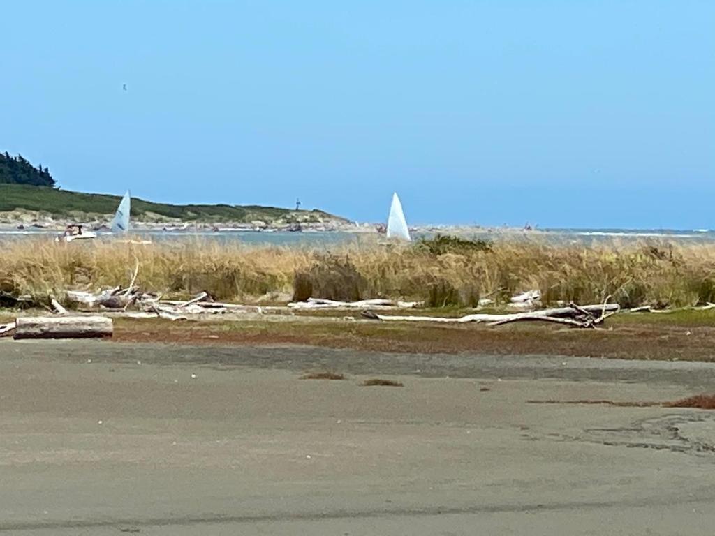 Nikau’s on Palmer photo