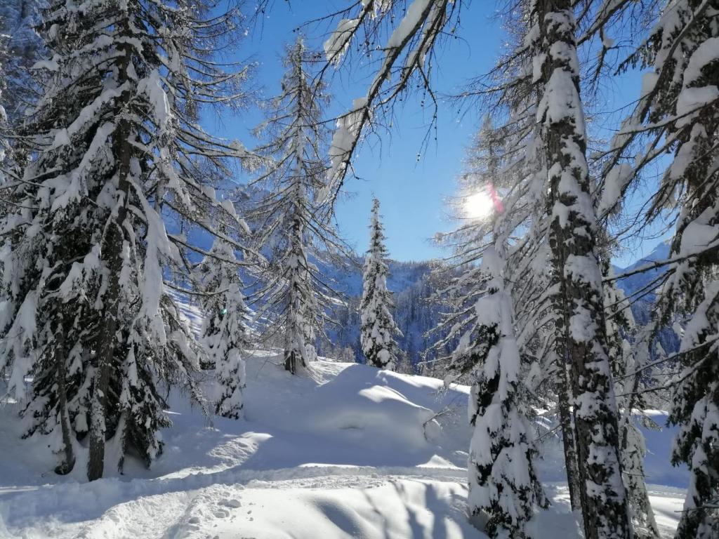 Vista Pelmo - 5