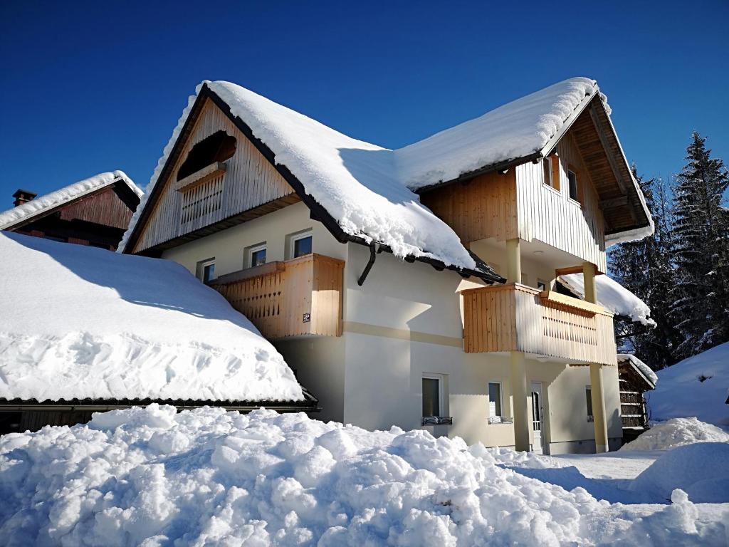 TriSa apartments Bohinj 9