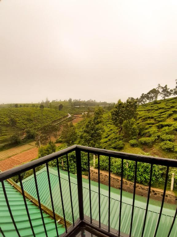 Flamingo's Nuwara Eliya photo