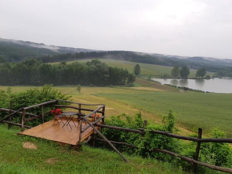 Matievics Boraszat es Vendeghaz photo