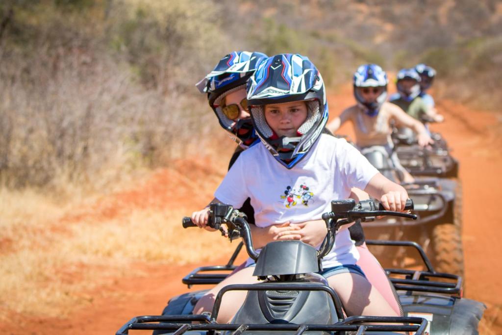 アクティビティ