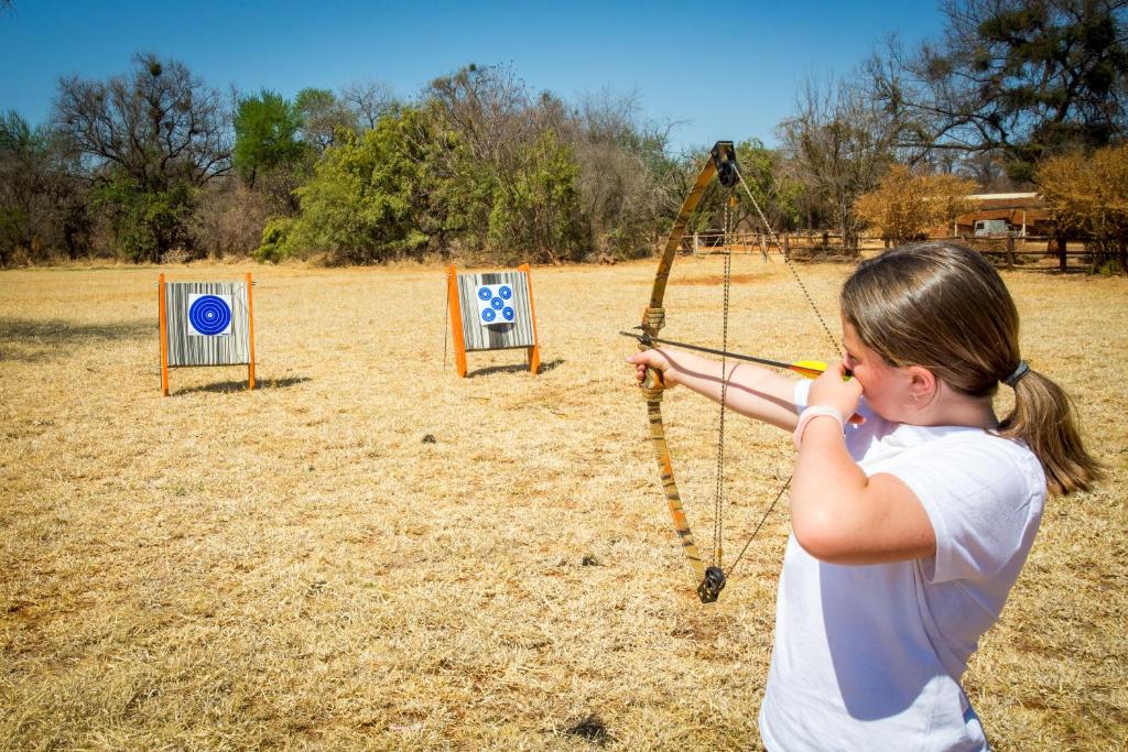 アクティビティ