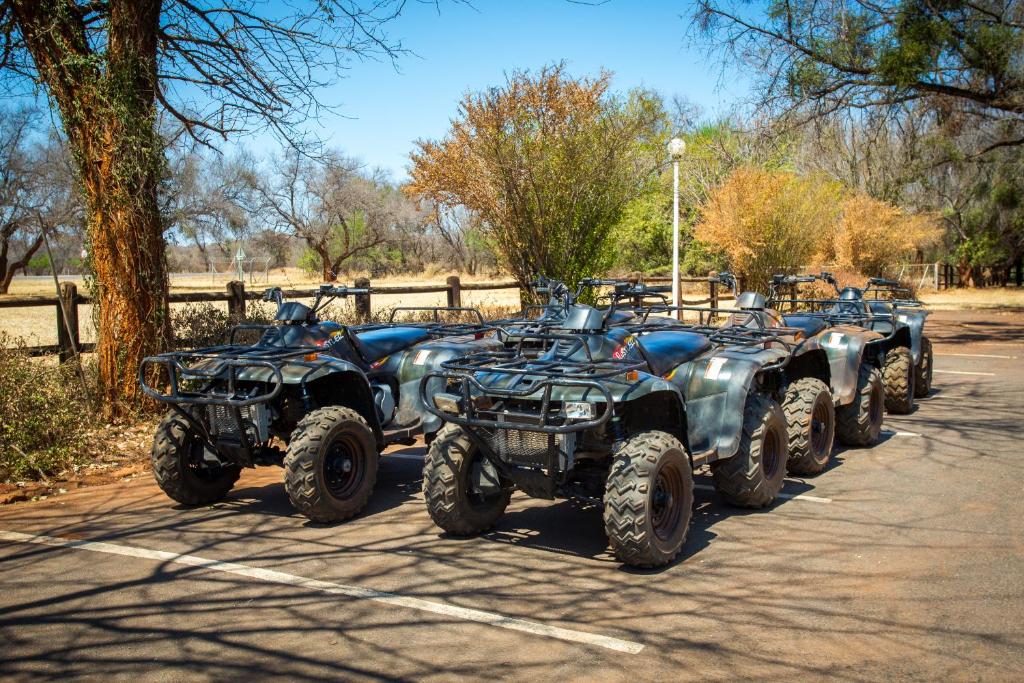 アクティビティ