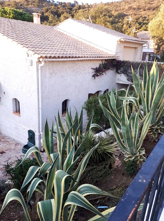 APPARTEMENTS DANS VILLA EN REZ DE JARDIN - 1