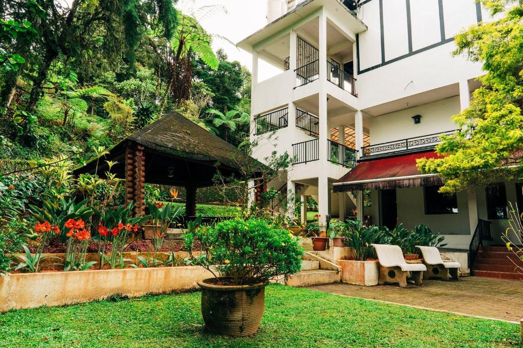 โรงแรมคาซ่า เดอ ลา โรซ่า (Casa De La Rosa Hotel)