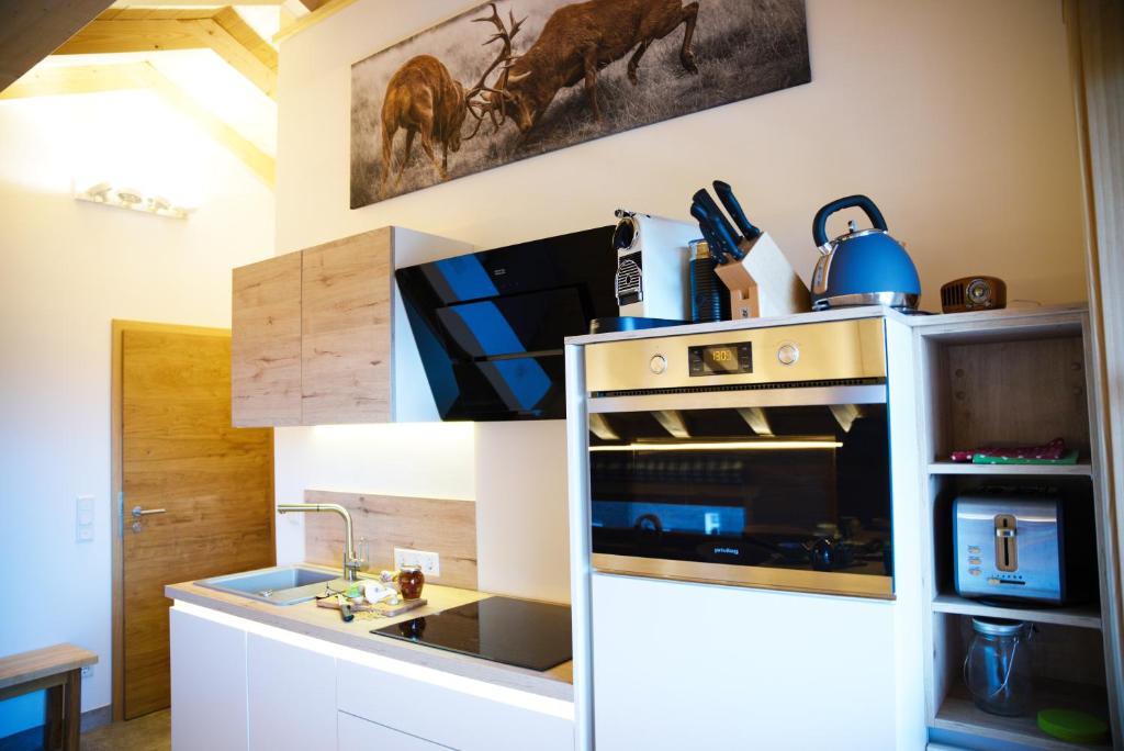 Leos Alpenchalet - inclusive Sommer Bergbahnticket und E-Auto Ladestation - 5