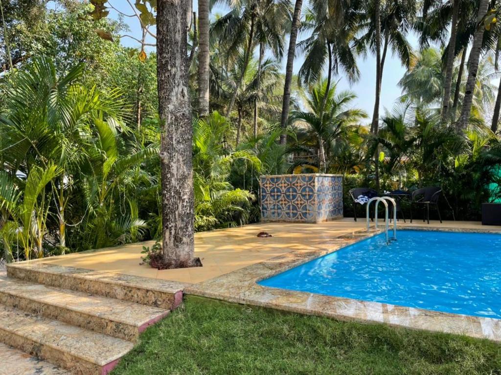The Amrit Goa photo