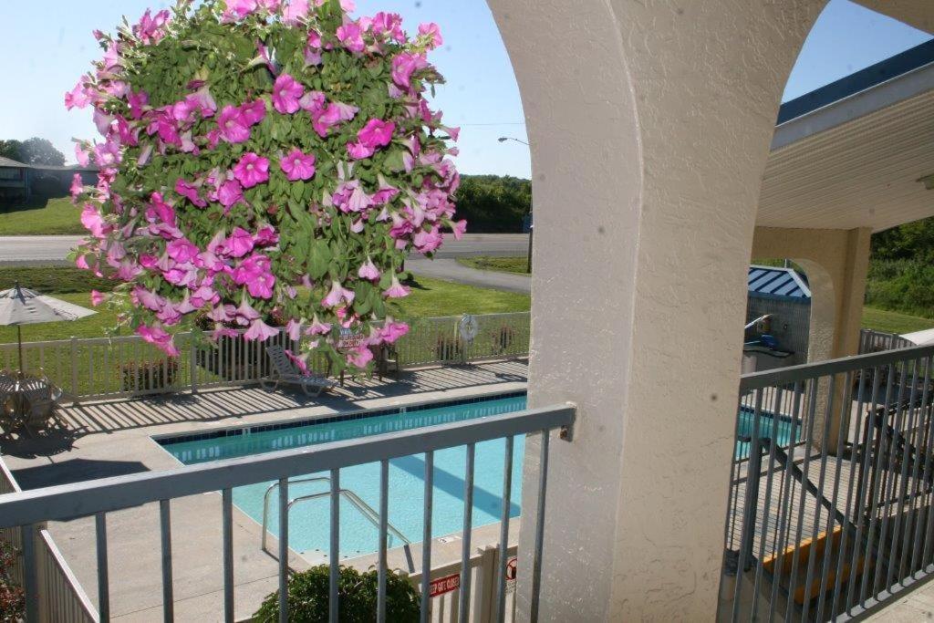 Grand Vista Hotel photo