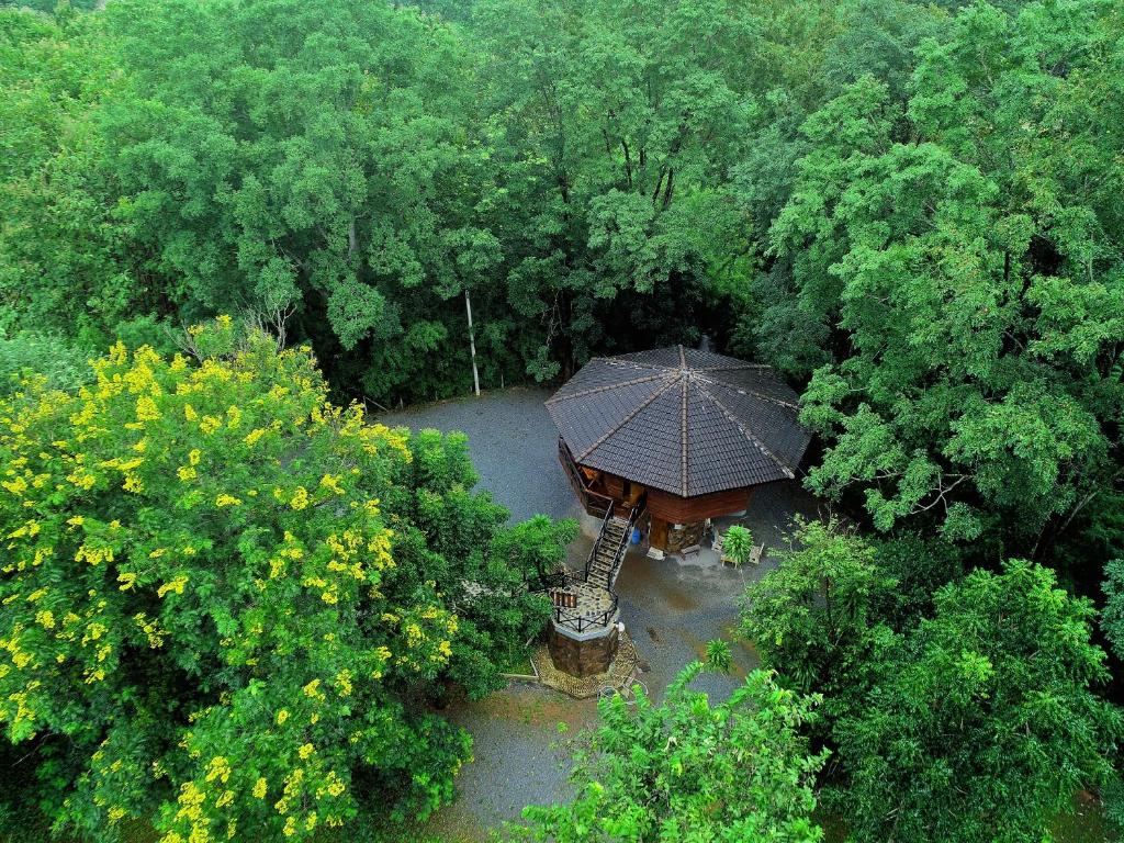 Hidden Treehouse in Khaoyai photo