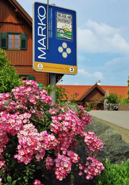 Weingut- Gästezimmer Marko - 2