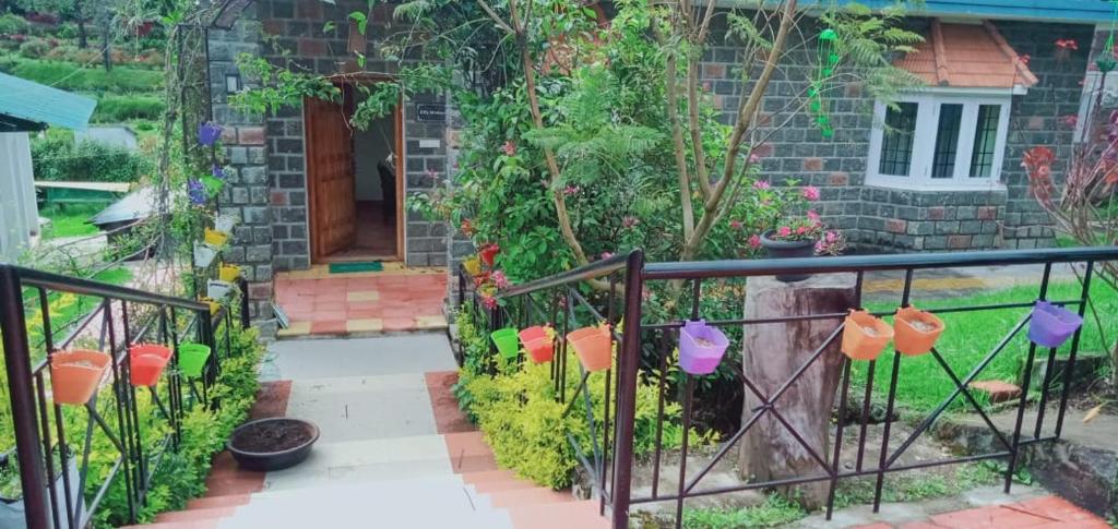 Yogi Cottage photo