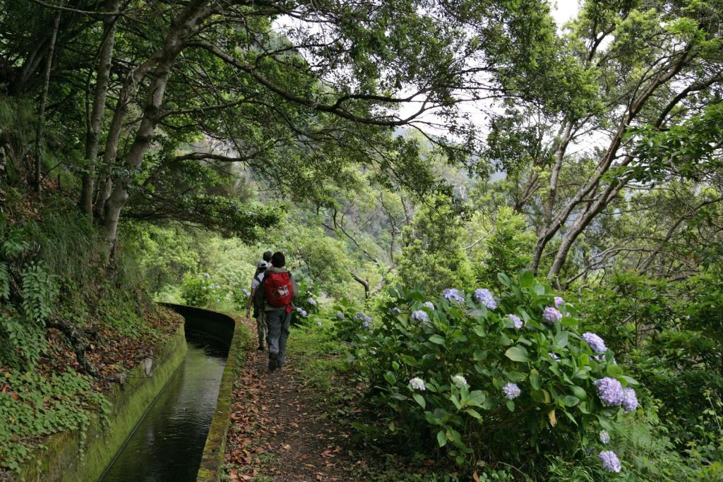 Estalagem Da Ponta Do Sol — Attractions in the area in Ponta do Sol, Madeira