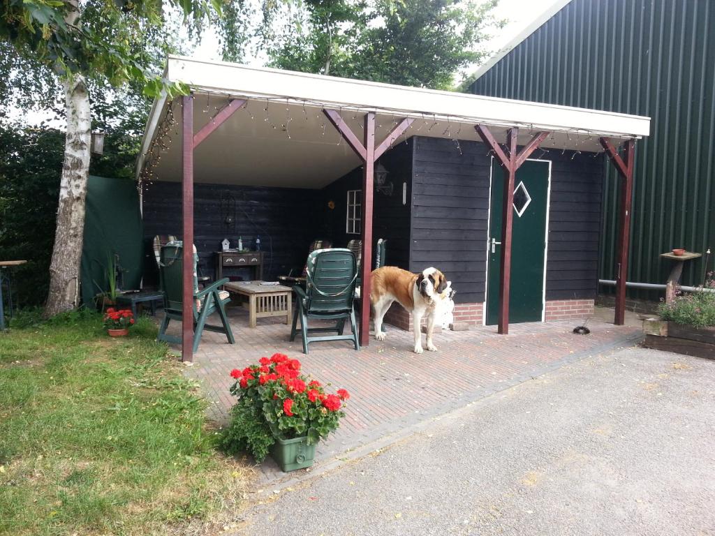 B&B de Rivierduin photo