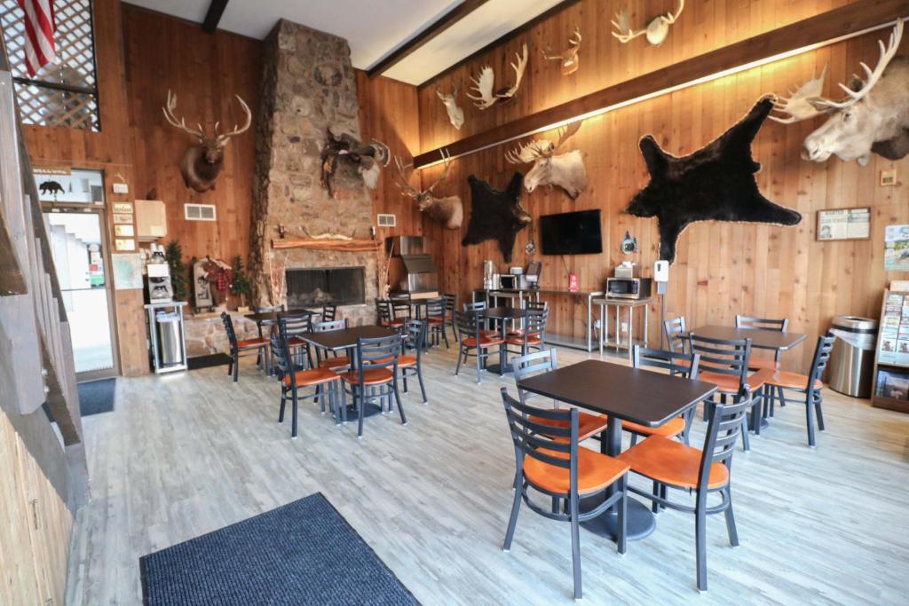 Bear Lodge Motel photo