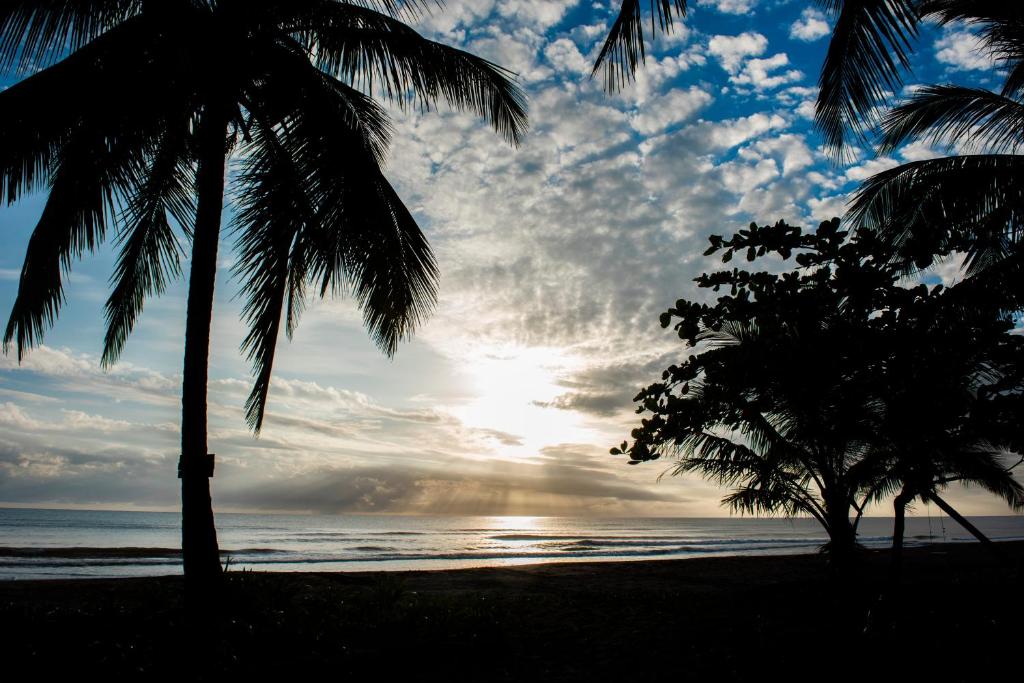 Hotel Tortuguero Beachfront photo