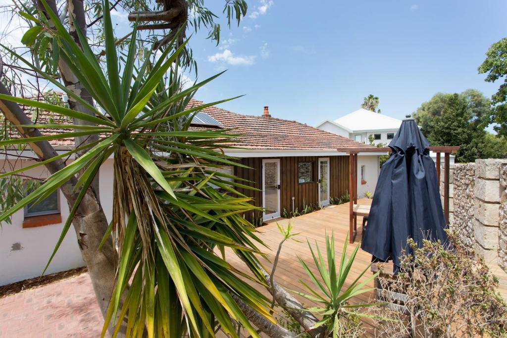 Dingo at White Gum Lodge photo