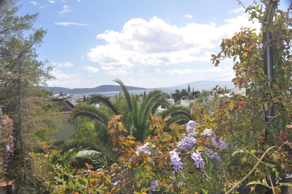 Jardí