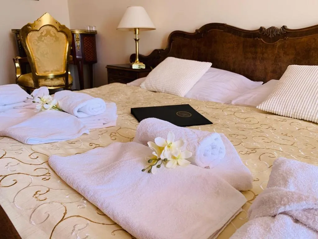 Wellness hotel Rezidence, hotel in Nové Hrady