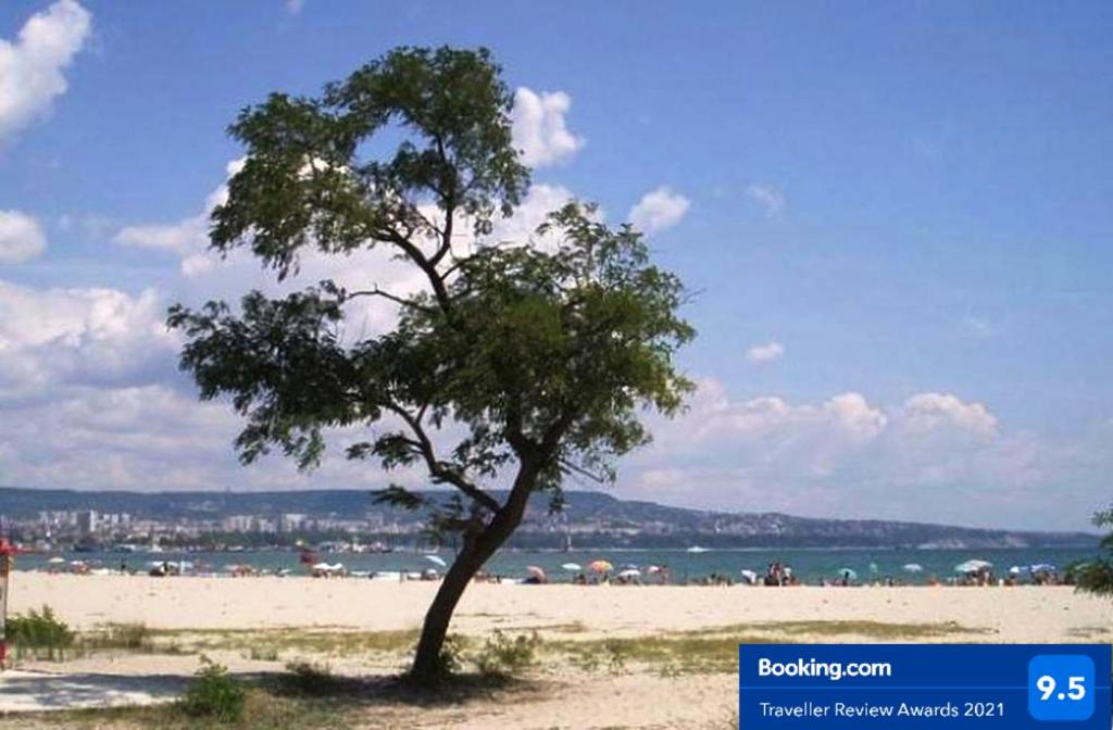 Relax Apartment in Varna South bay photo
