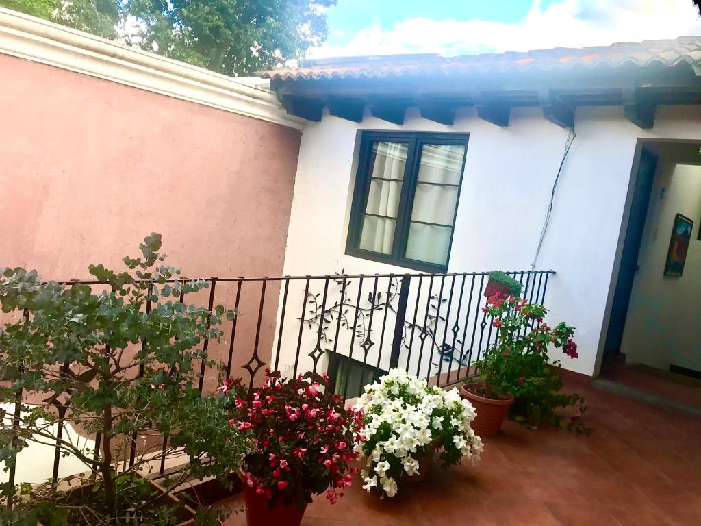 Hotel la Galeria photo