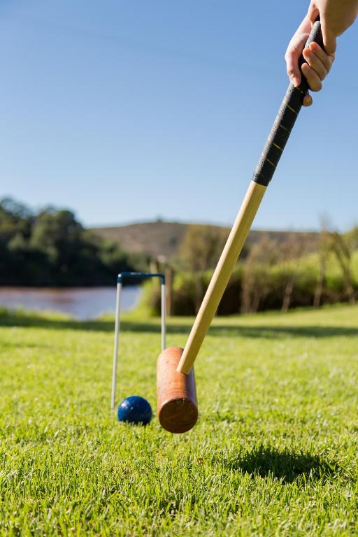 アクティビティ