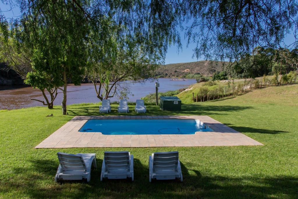 スイミングプール