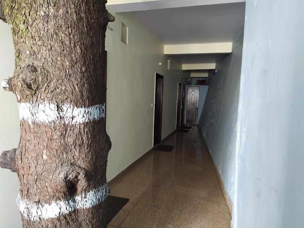 Hotel Super Mall photo