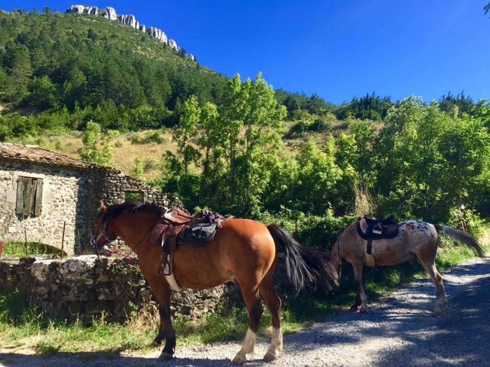 アクティビティ