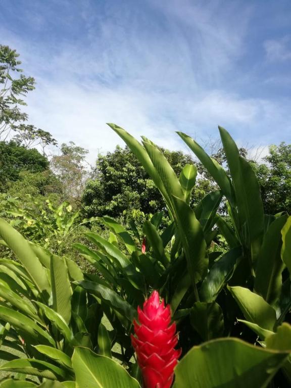 Casona Rustica & Bungalow photo