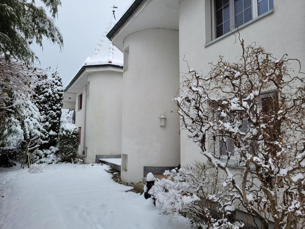 Villa Castagna Guesthouse - 5