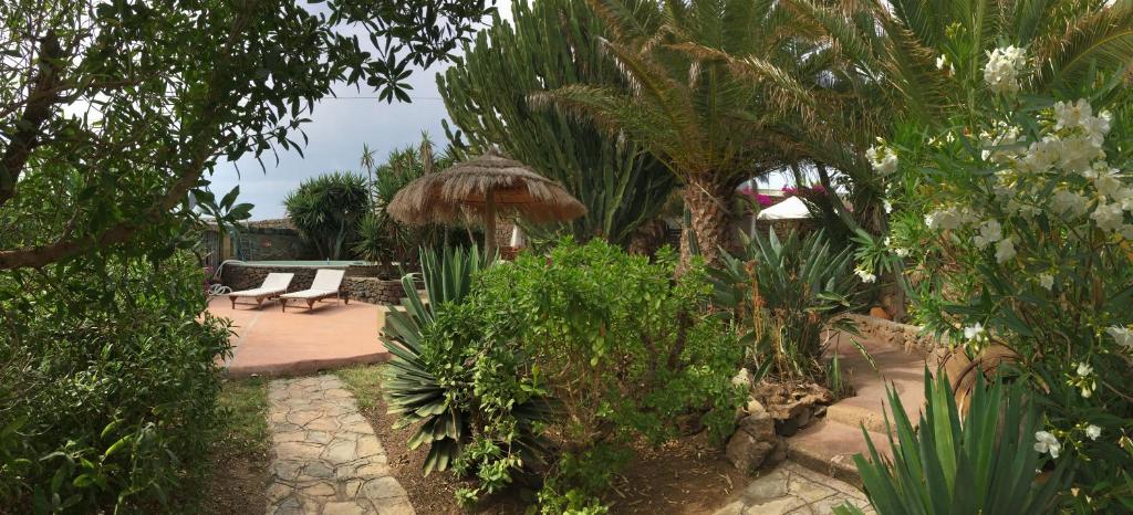 Le casette di Marilena b&b Agave Iucca - 1