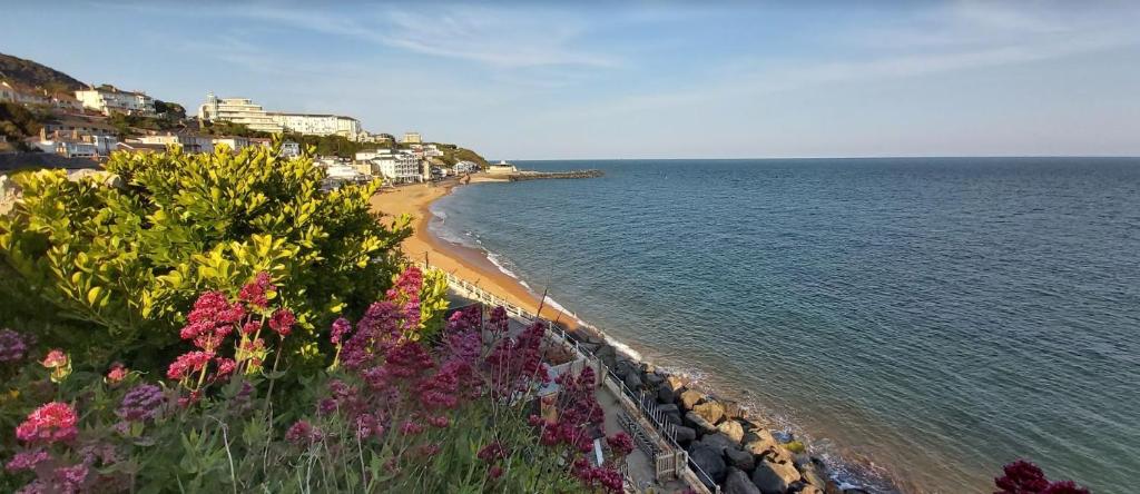 Clarence House Apartments, Ventnor photo 8