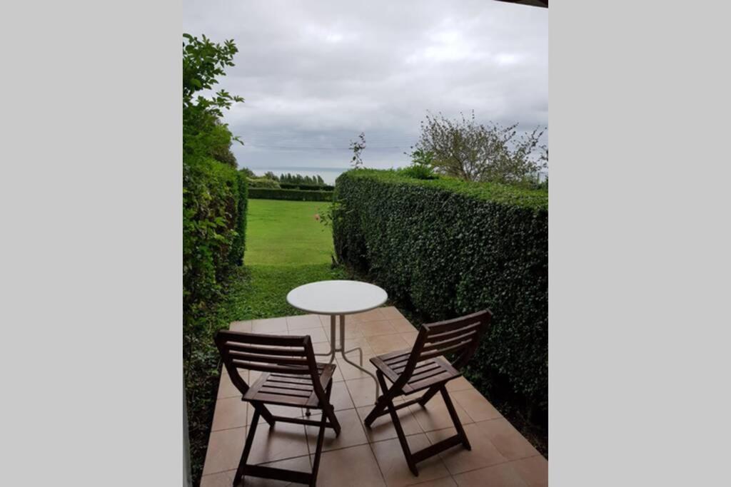 Studio cosy et terrasse-jardin superbe vue mer - 2