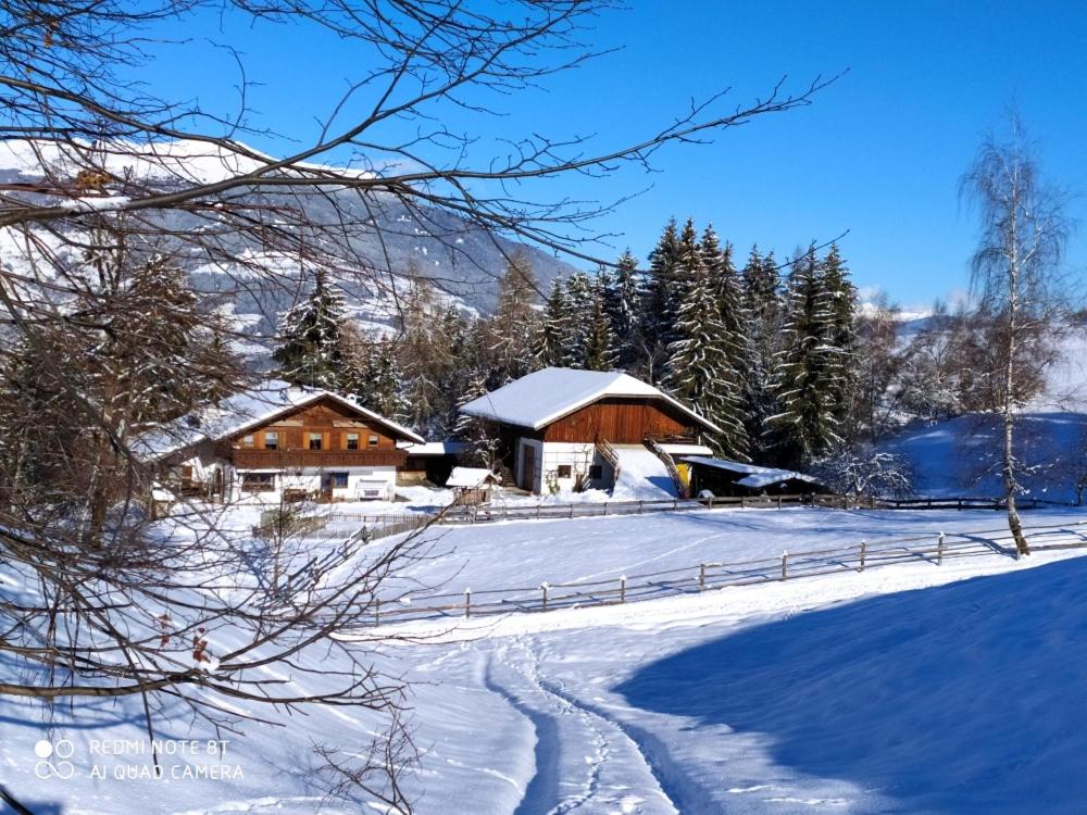Wieshof - 2