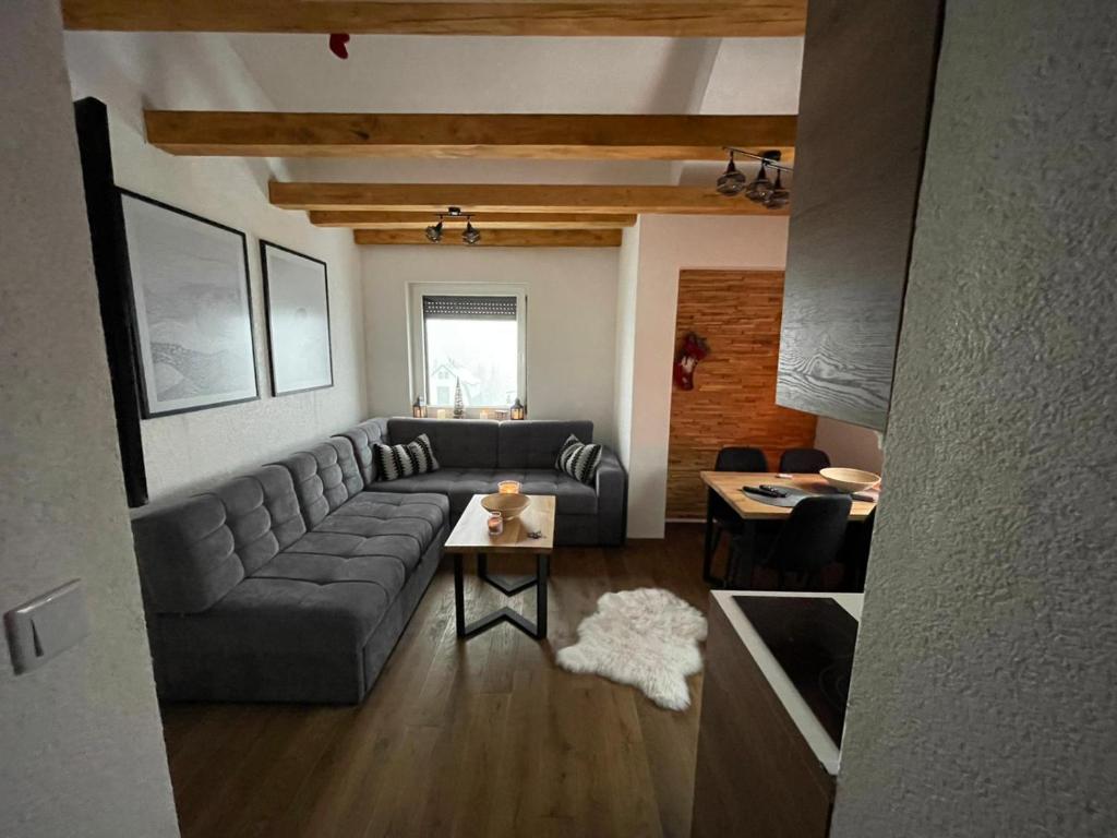 Apartments Walter Jahorina - 5