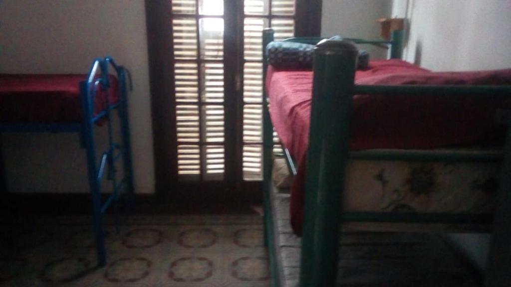 6베드 혼성 도미토리룸 내 침대