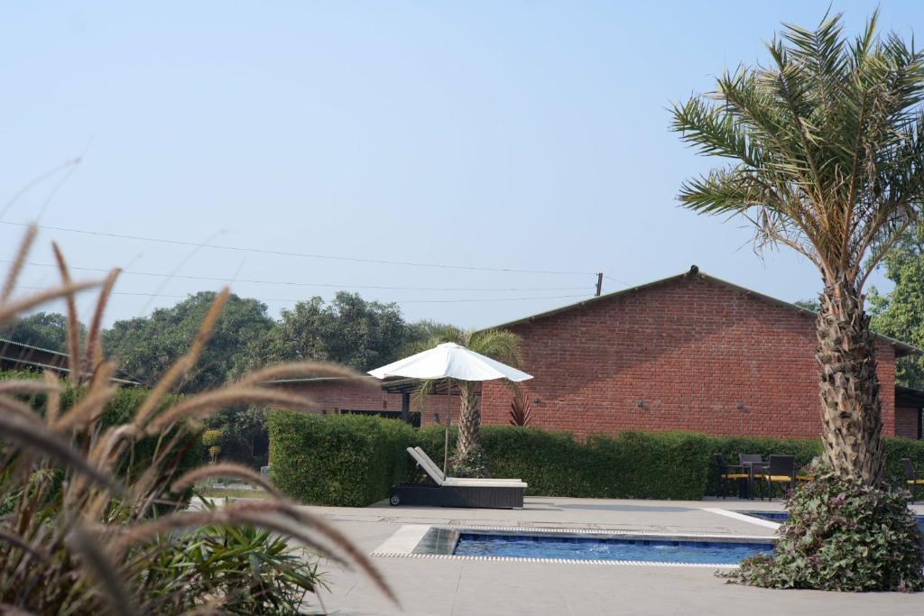 MANGO TREE RESORTS photo