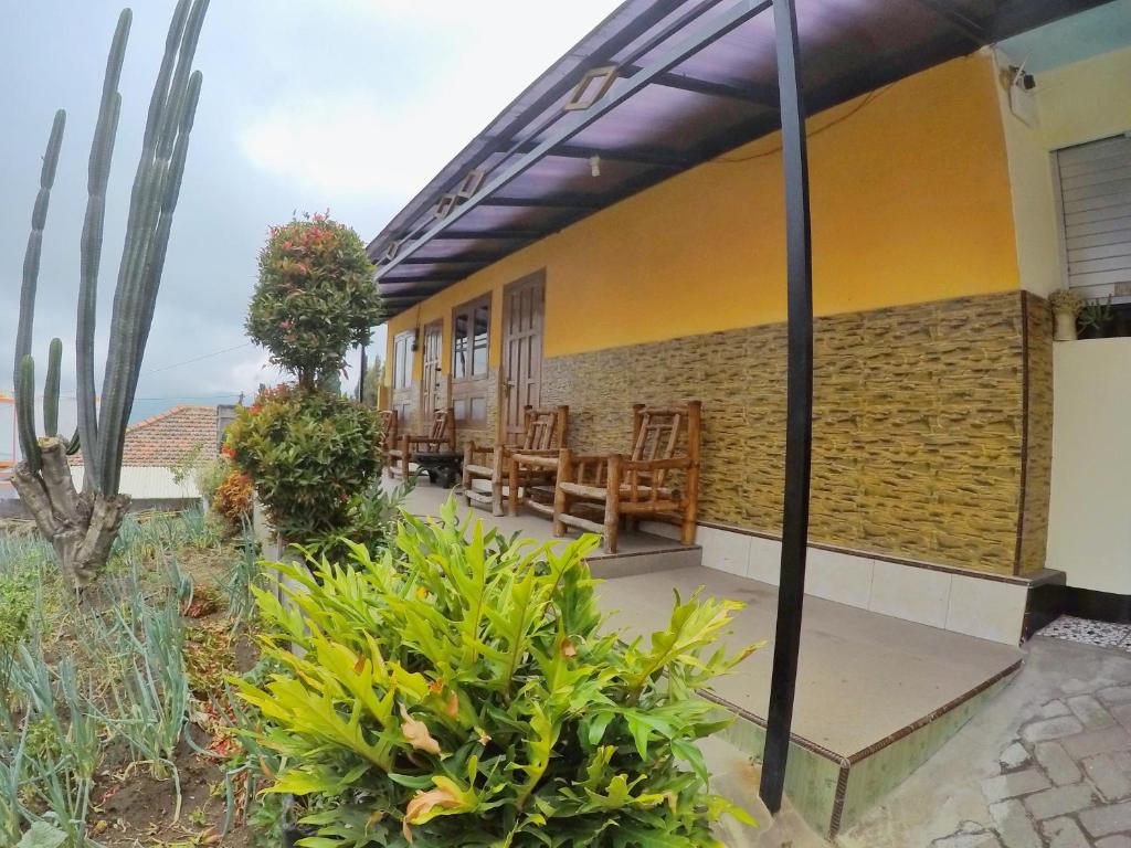 Homestay Lereng Bromo photo