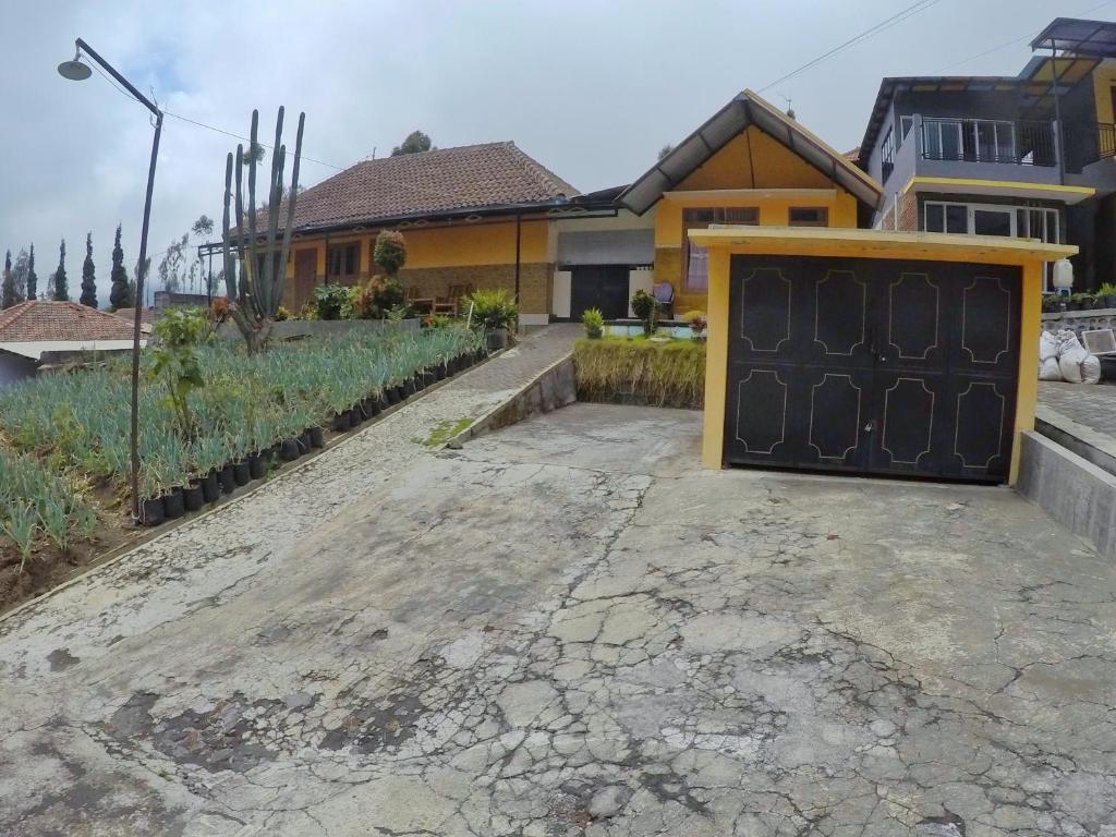 Homestay Lereng Bromo photo