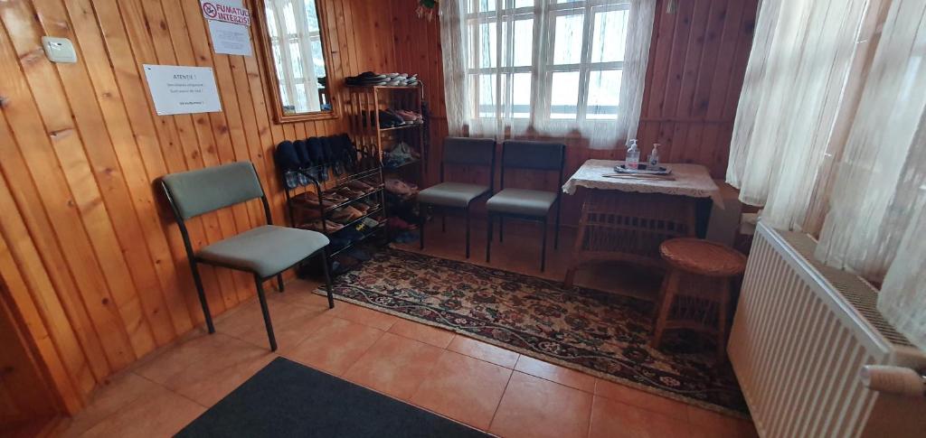 Casa de Vacanta Silvia photo