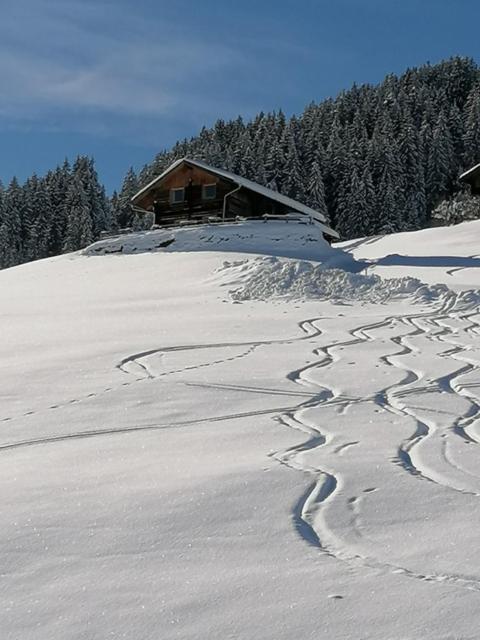 Ferienhütte Georg - 3