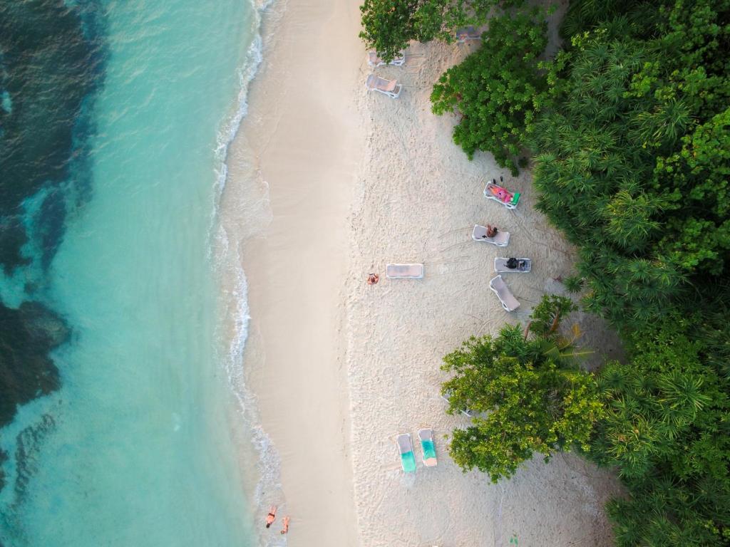 Quicksand Rasdhoo photo