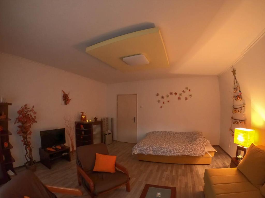 Nica Apartman Novi Sad - 4