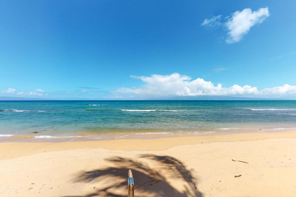 Kaanapali Shores 732 photo