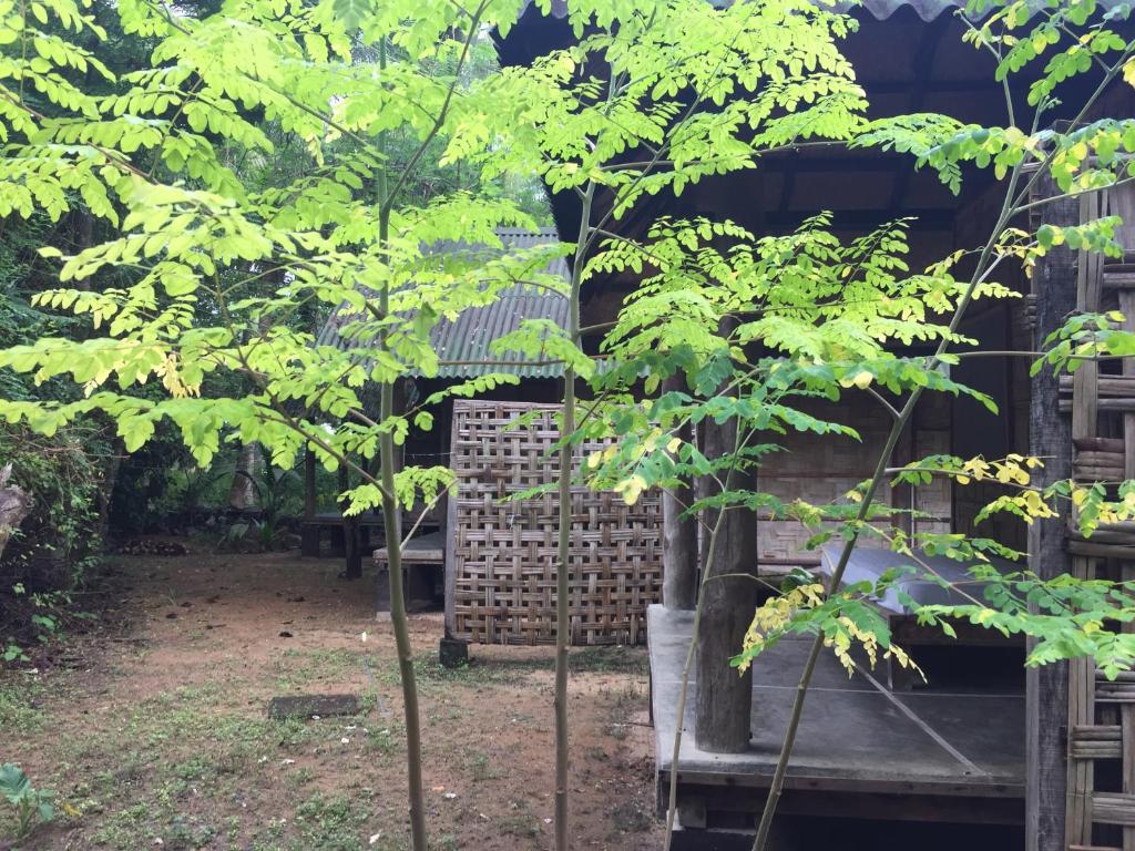 Emerald Gecko Resort-Neil Island photo