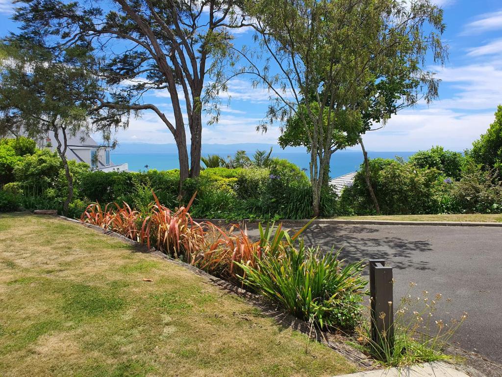 MoanaViews, Nelson